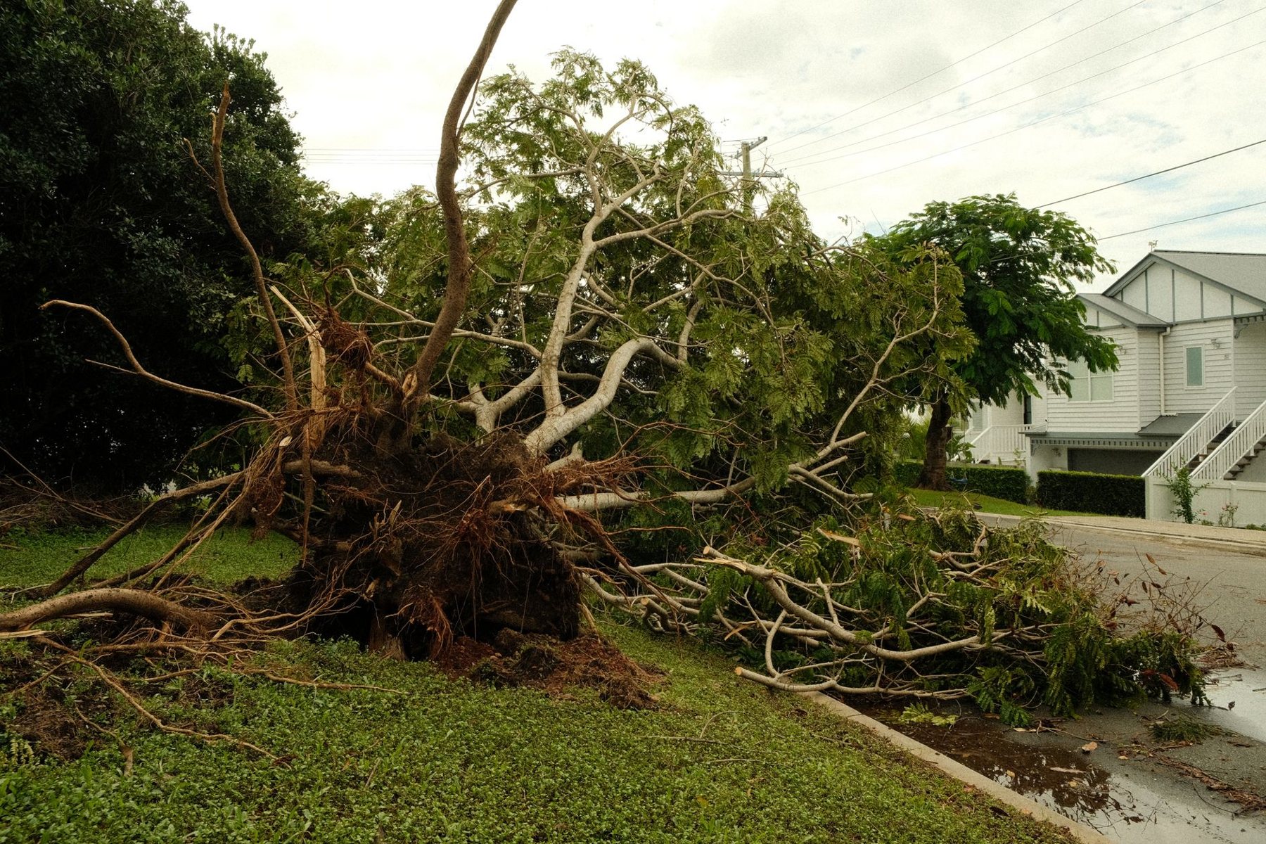 Storm Damage Cleanup in Mesa AZ